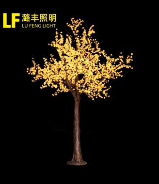 上海铁杆树